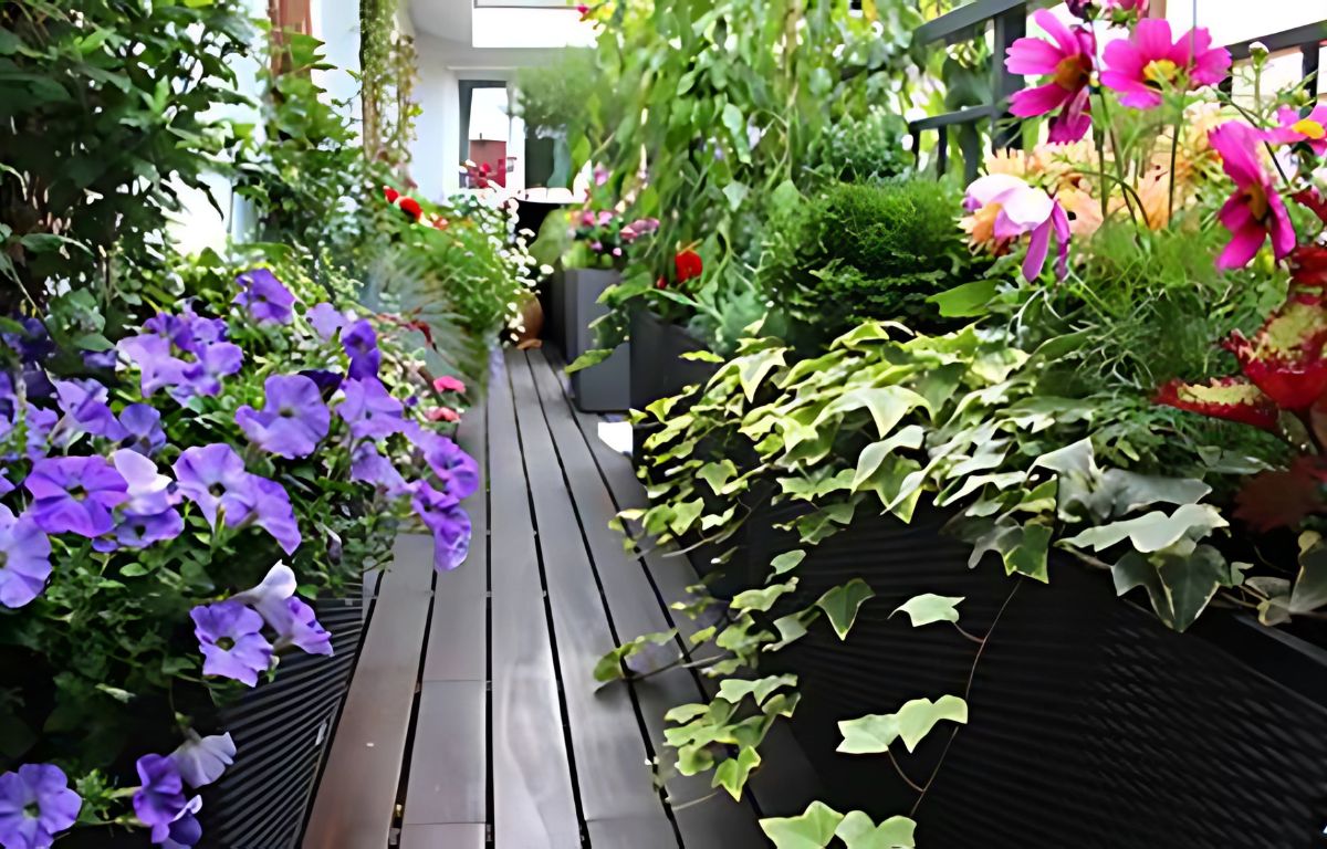 Quelle plante pour se protger du regard des voisins ? Conseils