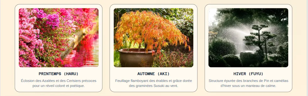 Azalées en fleurs dans des pots en céramique sur un balcon japonais au printemps. Érable du Japon au feuillage rouge flamboyant sur une terrasse urbaine en automne. Camélia d'hiver et branches de bois sec pour une décoration de balcon zen hivernale.
