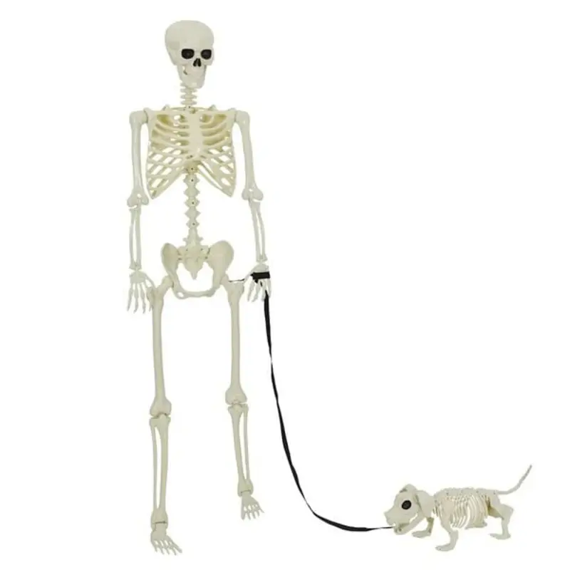 Alternative view of Squelette de décoration Halloween et chien - 155x38.5 cm
