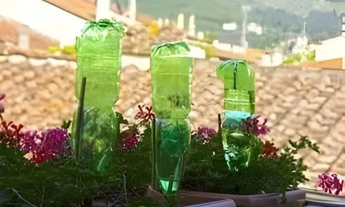Arrosage léger des plantes en pot sur balcon en période hivernale
