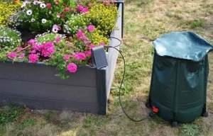 Plantes arrosées par un système d'arrosage automatique avec un réservoir d'eau.