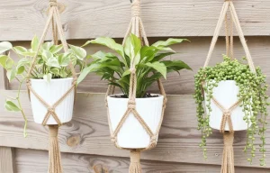 Trois plantes d'intérieur suspendues dans des pots blancs avec des macramés en corde beige contre une clôture en bois clair : Pothos, Lys de la paix et Chaîne de perles