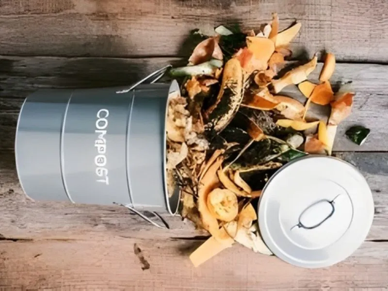 Épluchures de légumes et restes de fruits sortant d'un seau à compost gris en métal.