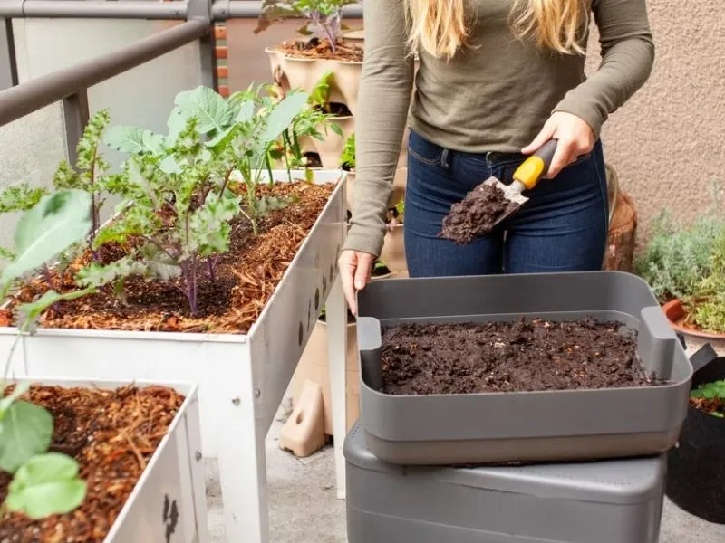 Jardinière surélevée et système de lombricompostage compact pour potager urbain.